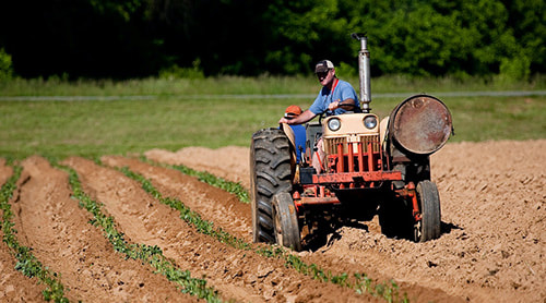 Farmer riding tractor - Learn more about the Insurance Products and Services we offer